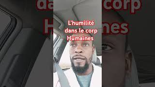 L'humilité dans le corp humain