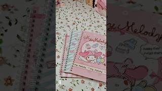 Os detalhes desse caderno #papelariafofa #papelaria #sanrio #cinnamoroll #mymelody #materialescolar