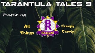 Tarantula Tales 9 with BugRealms