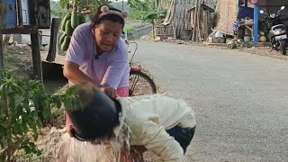 nasib punya ibu mertua galak