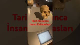 Tarih Boyunca İnsan Kafatasları