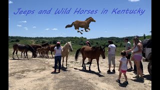 Jeep Renegade off-roading and wild horses in Kentucky