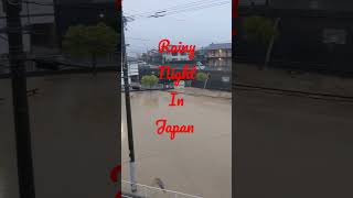 Experience The Beauty Of The Rain In Japan From My Back Patio. #japan #shorts #rain #storm