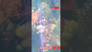 😱🙏 Jai maa amba bhawani 🙏❤️,#video #viralvideo #shorts #status. ..