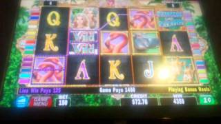 Princess of Paradise video slot bonus