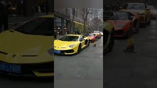 Lamborghini aventador svj & urus || #shorts