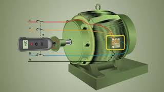 reversing the direction of 3   phase induction motor