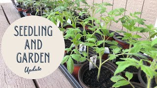 Seedling and Garden Update