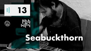 Seabuckthorn - Naoway Sessions