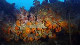 wreck diving The Ark 7 Skies / Igara (GoPro) -2014-