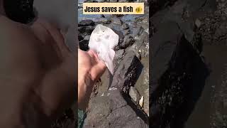 Jesus saves a fish 🐠 jesus vs fish #jesus #fish #help #youtubeshorts #shorts ❤️😭❤️😭❤️❤️