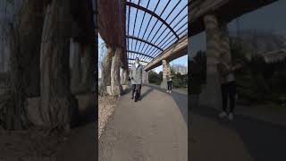 Wrocław Pergola 31.03.2019 insta360 One X