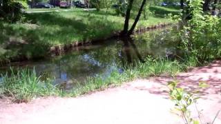 Boulder Creek Walk