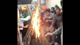 #Farmers burn the copies of agriculture laws on Lohri