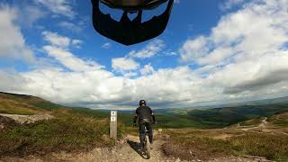 50 Hits - Dyfi Bike Park