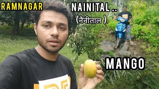 First time Ramnagar me gay Pahadi ke mango khane 🤤 Uttarakhand vlog