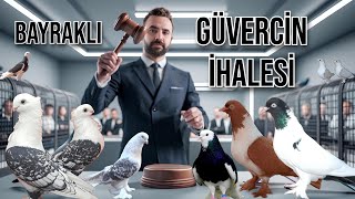 BAYRAKLI GÜVERCİN İHALESİ #33