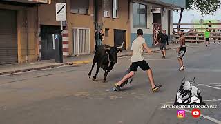 algunos detalles de la tarde de Guillamón en Sagunto 15 de junio 2024