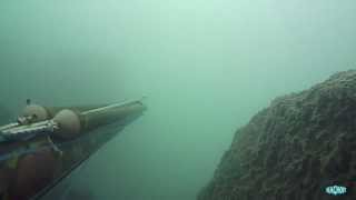 Pesca Sub: Ombra nella nebbia, 17/02/2014.