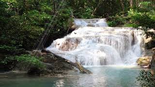 Sonidos de la naturaleza relajantes con maravilloso fondo de pantalla de cascada anti estrés