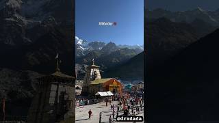 केदारधाम #kedarnath #kedarnathdham #kedarnathyatra #kedarnathtemple #kedarnathstatus #shorts