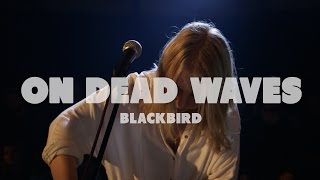 On Dead Waves - Blackbird | Live at Music Apartment