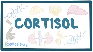 Cortisol