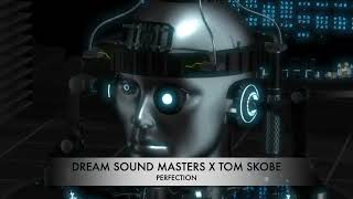 Dream Sound Masters x Tom Skobe - Perfection (Official Video)