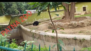 Patna &zoo/ संजय गांधी जैविक उद्यान