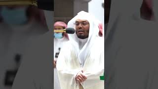 تلاوه جميله من الشيخ ياسر الدوسري