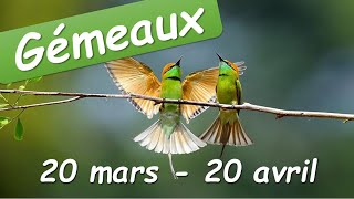 ♊️ GEMEAUX - 20 mars au 20 avril