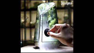 This terrarium puts a forest on your desk.😎🔥