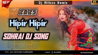 Hipir Hipir🍃 Santali Sohrai Song 2024-2025🍃 Traditional Dj Remix 2025🍃Rali Tudu Hit Song 2025