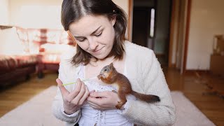 Baby Squirrel loves tickles and demands sleeping in a hoodie (Episode 2)