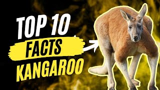 Unveiling Kangaroos: 10 Incredible Facts about Australia's Iconic Marsupials