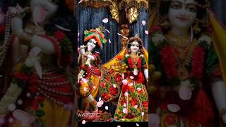 हे कृष्ण तेरे होठ मधुर है मुख भी मधुर #shorts #vrindavan #iskcon#radhakrishna #bhajan #जन्माष्टमी