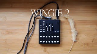 Meng Qi 孟奇 WINGIE 2 Stereo resonator short film