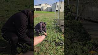 November 6, 2024 Metal detecting