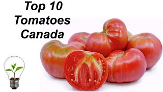 Top 10 Greenhouse Tomatoes for Canada and French's Ketchup