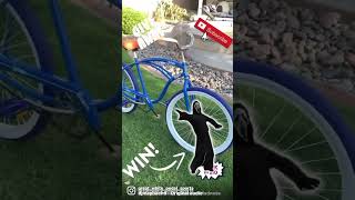 Subscribe to win! #win #giveaway #gummy #halloween #scary #bike #bikelife #comedy #dodgers