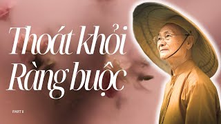 Cần Làm Gì Để Bớt Dính Mắt, Ràng Buộc Trong Xã Hội Hiện Nay.. | HT Viên Minh Thuyết Pháp