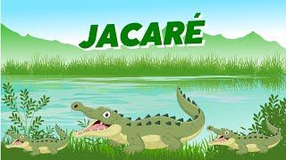 JACARÉ! Conhecendo e contando| Vídeo infantil