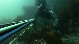 Easter Weekend Spearfishing West Coast Of Scotland UK