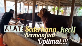 "Portable Mini Sprayer" Solusi cepat untuk membersihkan Sapi🐂🐂🐂 di Kandang!!!