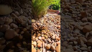 Creek with running water in backyard #landscaping #water #creek #backyard