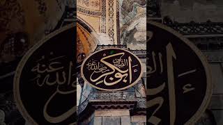 TLP Whatsapp Status 2023 by // Allama Khadim Hussain Rizvi® //#khadimhussainrizvi #shorts