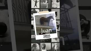 Juan Caballo / Memes En 33 Segundos #juanmeme