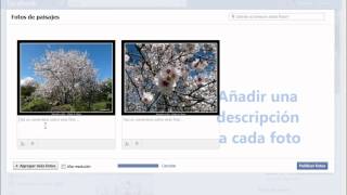 Crear un álbum de fotos en Facebook