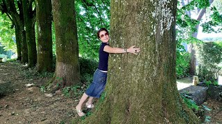 Forest Bathing e Tree Therapy, ne parliamo con Paola Igliori