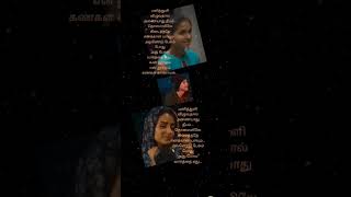 Tamilsonglyric 💞#panithuli 💞#raangi 💞#sathya #kabilan 💞#chinmayi 💞#trisha 💞#song #lyrics #status 💞💞💞